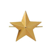 20mm Senior Officer Star Badge FM-153